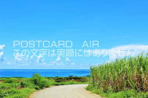 【日本のポストカードAIR】沖縄県 来間島 青空と海とサトウキビ畑のはがきハガキ葉書 撮影/YOSHIO IWASAWA