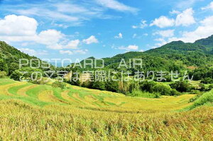 【日本のポストカードAIR】千葉県 秋の大山千枚田の風景のはがきハガキ葉書 撮影/YOSHIO IWASAWA