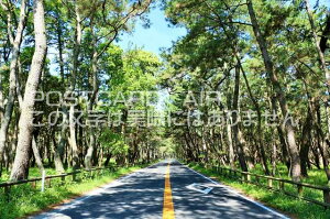 【日本のポストカードAIR】佐賀県 虹の松原のはがきハガキ葉書 撮影/YOSHIO IWASAWA