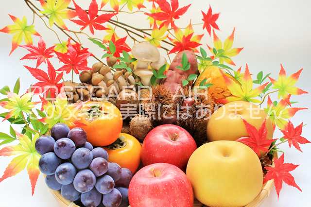 【食のポストカードのAIR】秋の果物