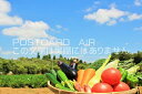 ポストカードAIRで買える「【食のポストカードのAIR】野菜（トマト・人参・ピーマン・胡瓜・パセリなど）と農家のはがきハガキ葉書 撮影/YOSHIO IWASAWA」の画像です。価格は110円になります。