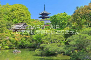 【日本のポストカードAIR】京都府京都市仁和寺 北庭と五重塔のはがきハガキ葉書 撮影/kazukiatuko