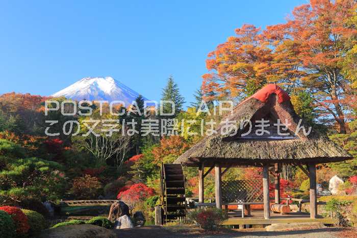 【日本の風景ポストカードAIR】 山梨県南都留郡忍野村