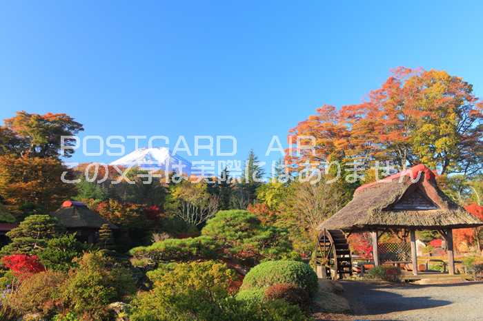 【日本の風景ポストカードAIR】 山梨県南都留郡忍野村