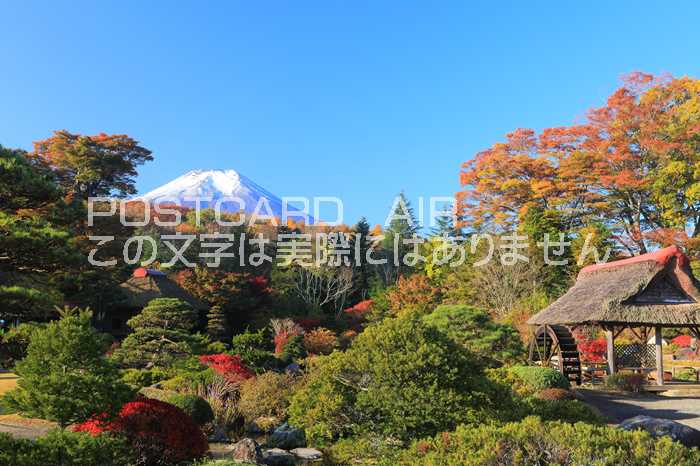 【日本の風景ポストカードAIR】 山梨県南都留郡忍野村