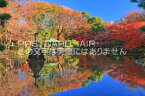 【日本の風景ポストカードAIR】日比谷公園　雲形池紅葉のはがきハガキ葉書 撮影/kazukiatuko