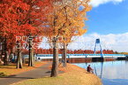 【日本の風景ポストカードAIR】東京都埼玉県水元公園の水元大橋と紅葉のはがきハガキ葉書 撮影/kazukiatuko