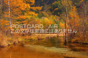 【日本の風景ポストカードAIR】 長野県信州上高地 田代池紅葉のはがきハガキ葉書 撮影/kazukiatuko