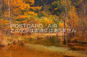 【日本の風景ポストカードAIR】　長野県信州上高地　田代池紅葉のはがきハガキ葉書 撮影/kazukiatuko