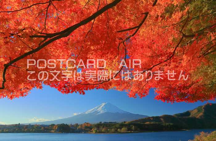 【日本の風景ポストカードAIR】山梨県富士河口湖紅葉のはがき