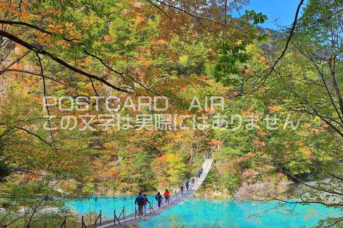 【日本の風景ポストカードAIR】静岡県川根本町紅葉の寸又峡夢の吊り橋のはがきハガキ葉書 撮影/kazukiatuko