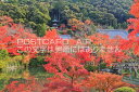 【日本の風景ポストカードAIR】京都府京都市東山左京区永観堂の紅葉(多宝塔)のはがきハガキ葉書 撮影/kazukiatuko