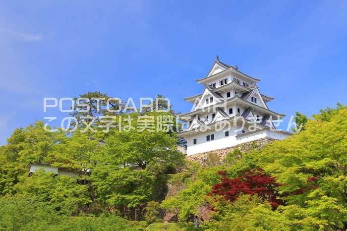 【日本の風景ポストカードAIR】岐阜県郡上市八幡町柳町郡上八幡城のはがきハガキ葉書 撮影/kazukiatuko