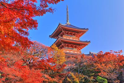 ݥȥAIR㤨֡ܤʥݥȥɡ۵Իʸ仺ΤϤϥս /kazukiatukoפβǤʤ165ߤˤʤޤ