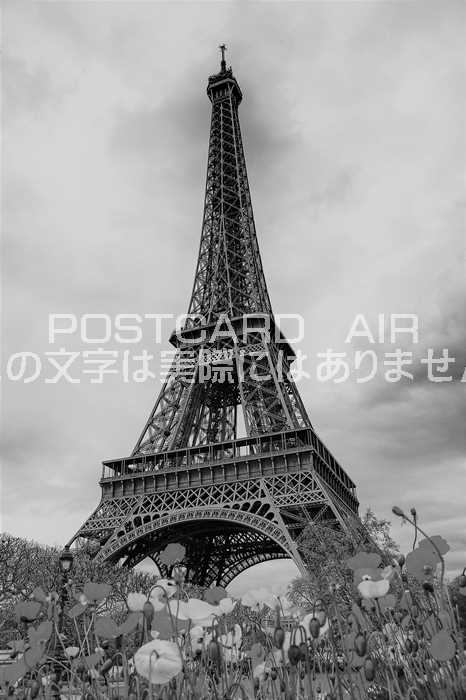 【フランスの風景ポストカード】エッフェル塔のあるパリの景色2008年のはがきハガキ葉書（白黒写真）