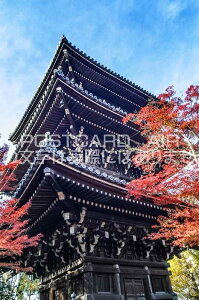 【日本の風景ポストカード】京都府京都市東山真如堂辺りの五重塔と紅葉のポストカード(葉書はがきフォトカード絵葉書)