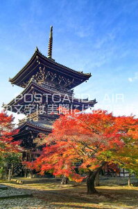 【日本の風景ポストカード】京都府京都市東山真如堂辺りの五重塔と紅葉のポストカード(葉書はがきフォトカード絵葉書)