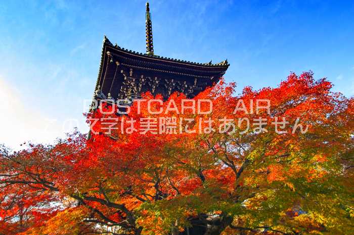 【日本の風景ポストカード】京都府京都市東山真如堂辺りの五重塔と紅葉のポストカード(葉書はがきフォトカード絵葉書)