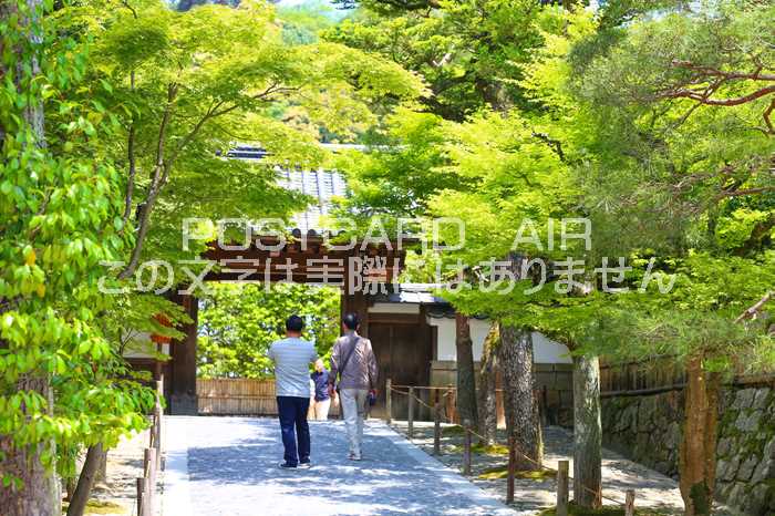 ݥȥAIR㤨֡ܤʥݥȥɡ۵ԻԶջնʡϤϥսפβǤʤ165ߤˤʤޤ