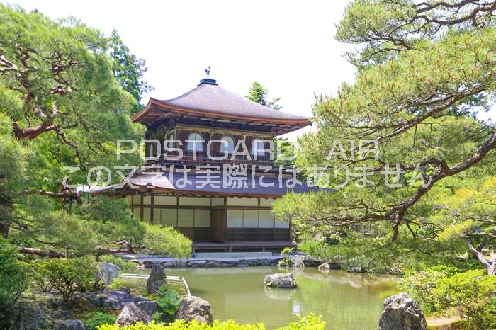 ݥȥAIR㤨֡ܤʥݥȥɡ۵ԻԶջնʡϤϥսפβǤʤ165ߤˤʤޤ