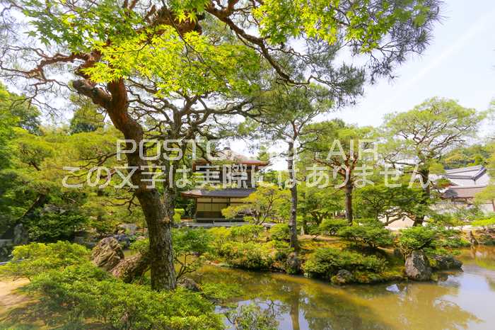 ݥȥAIR㤨֡ܤʥݥȥɡ۵ԻԶջնʡϤϥսפβǤʤ165ߤˤʤޤ