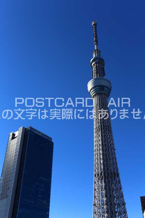 ݥȥAIR㤨֡ܤʥݥȥɡĥ꡼ΤʡϤϥս photo by MIROפβǤʤ165ߤˤʤޤ