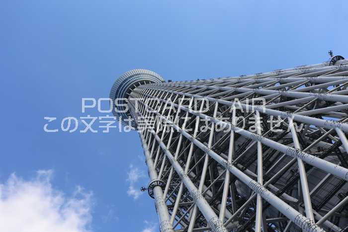 【日本の風景／東京のポストカード】東京都墨田区 快晴の空を貫く東京スカイツリーの骨組み はがき お土産 ハガキ 撮影/MIRO