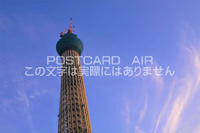 Rakuten - 【日本の風景ポストカード】東京スカイツリーのある風景（建築中）　はがきハガキ葉書 photo by MIRO