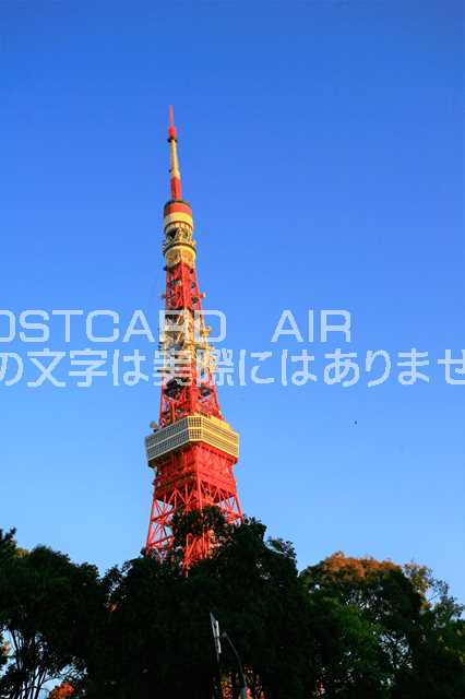 【日本の風景ポストカード】青空と東京タワーはがきハガキ葉書 photo by MIRO