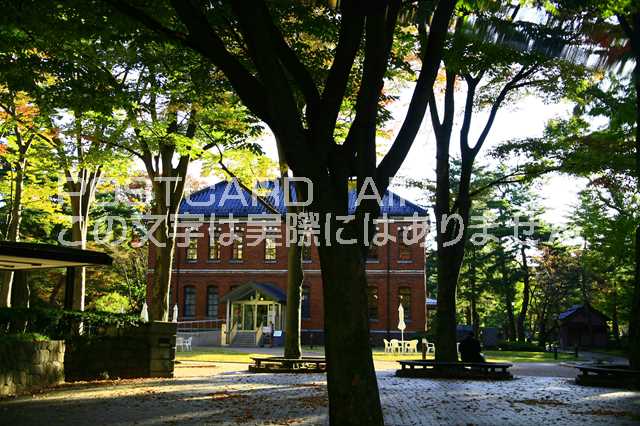 Rakuten - 【日本の風景ポストカード】石川県金沢市秋の兼六園のポストカードはがきハガキ葉書