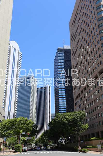 ݥȥAIR㤨֡ܤ/ΥݥȥɡԿɶ迷ɥӥ뷲10Ϥϥ photo by MIROפβǤʤ165ߤˤʤޤ