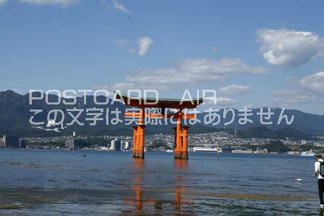 【日本の風景/広島のポストカード】広島県厳島神社のはがきハガ