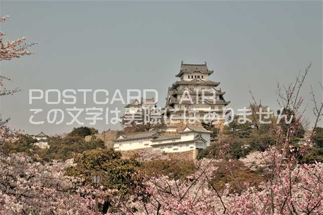 【日本の風景／姫路のポストカード】兵庫県姫路市姫路城のはがきハガキ photo by MIRO