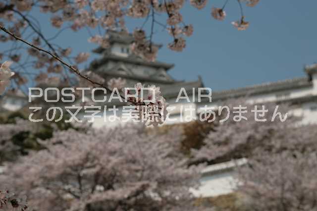 Rakuten - 【日本の風景／姫路のポストカード】兵庫県姫路市姫路城のはがきハガキ photo by MIRO
