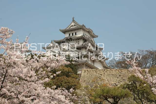 【日本の風景／姫路のポストカード】兵庫県姫路市姫路城のはがきハガキ photo by MIRO