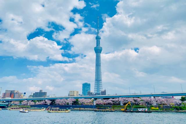 【日本のポストカードのAIR】東京スカイツリーと桜と隅田川の葉書ハガキはがき photo by MIRO