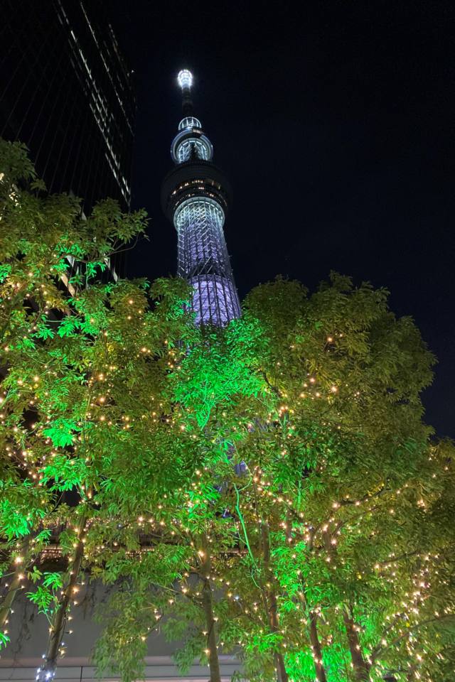 【日本の風景ポストカード】東京スカイツリーのある景色夜景の葉書ハガキはがき photo by MIRO