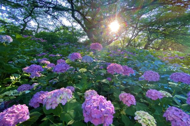 商品情報 サイズと厚み 100mm×148mm×0.33mm（官製はがきの0.23mmよりも分厚い0.33mmです）素材 マット紙用紙特徴 鉛筆・ボールペン・マーカーなどを使って書き込みができます。注意書き お使いのモニターにより、実際のポストカードはワントーン暗くなる場合があります。全てポストカードのAIRオリジナルのポストカードです/官製はがき（0.23mm）より厚い0.33mmマット紙を使用。鉛筆でも、ボールペンでも宛名面は記入ができます。　　裏面宛名書き面は　切手を貼る場所の印、postcard、小さく写真撮影者の名前photo by miro、ホームページアドレスが記載させれています。3980円以上のお買い上げで送料無料となります。※送料無料の規定は割引後の商品合計金額が対象です。/LINEやメールでは伝えられない思いをポストカードで伝えてみませんか。誕生日、お礼はもちろん、何かの記念日に、毎日送っても送料は全国共通。海外への発送もできます。　今だから逆に新しい。あなたの気持ちを伝える特別なツールとしていかがでしょうか。(実際のポストカードはパソコン画面で見るよりもワントーン暗くなる場合があります）　【フランスの風景ポストカード】フランスパリのエッフェル塔のある景色 官製はがきと同じサイズのオリジナルポストカード 11