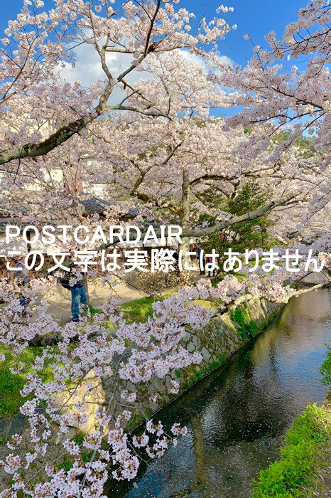 ݥȥAIR㤨֡ܤʥݥȥɡ۵ԻջƻκʿȺ˽պΥݥȥɡսϤեȥɳսˡפβǤʤ165ߤˤʤޤ