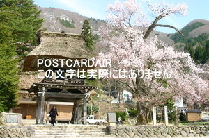 【日本の風景ポストカード】岐阜県大野郡白川村　桜の舞う春の白川郷の葉書ハガキはがき photo by MIRO