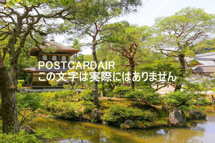 ݥȥAIR㤨֡ܤʥݥȥɡۢ606-8402 ܵԻԺջĮ2ջսϥϤ photo by MIROפβǤʤ165ߤˤʤޤ