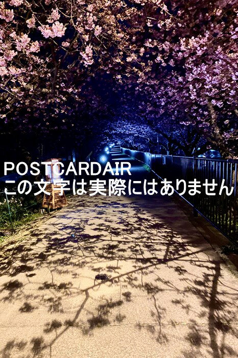 日本の風景ポストカード　静岡県賀茂郡河津の夜桜の葉