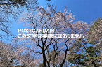 【日本の風景ポストカード】桜日本100選　埼玉県大宮市大宮公園の桜2021年のはがきハガキ葉書 photo by MIRO