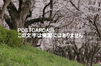 【日本の風景ポストカード】埼玉県戸田市荒川運動公園辺りの桜2021年のはがきハガキ葉書 photo by MIRO