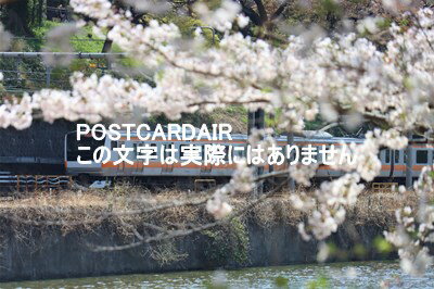 ݥȥAIR㤨֡ܤʥݥȥɡԿɶԥëնκȿ2021ǯΤϤϥս photo by MIROפβǤʤ165ߤˤʤޤ