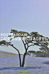 【日本の風景ポストカードAIR】'茨城県日立市国営ひたち海浜公園'ネモフィラの丘のはがきハガキ葉書 photo by MIRO