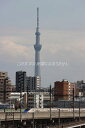 【日本の風景ポストカード】東京スカイツリーと北陸長野金沢新幹線のはがき5photo by MIRO