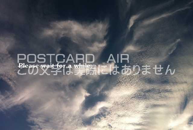 「Please wait for a while.」文字入りポストカード絵葉書ハガキはがき