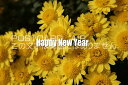 「Happy New Year」向日葵系花のある文字入りポストカード絵葉書ハガキはがき