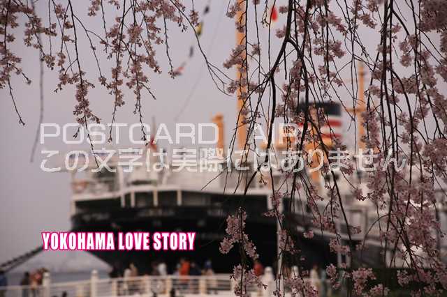 ポストカードAIR【観光地シリーズ】「YOKOHAMA LOVE STORY」横浜山下公園絵葉書ハガキはがき